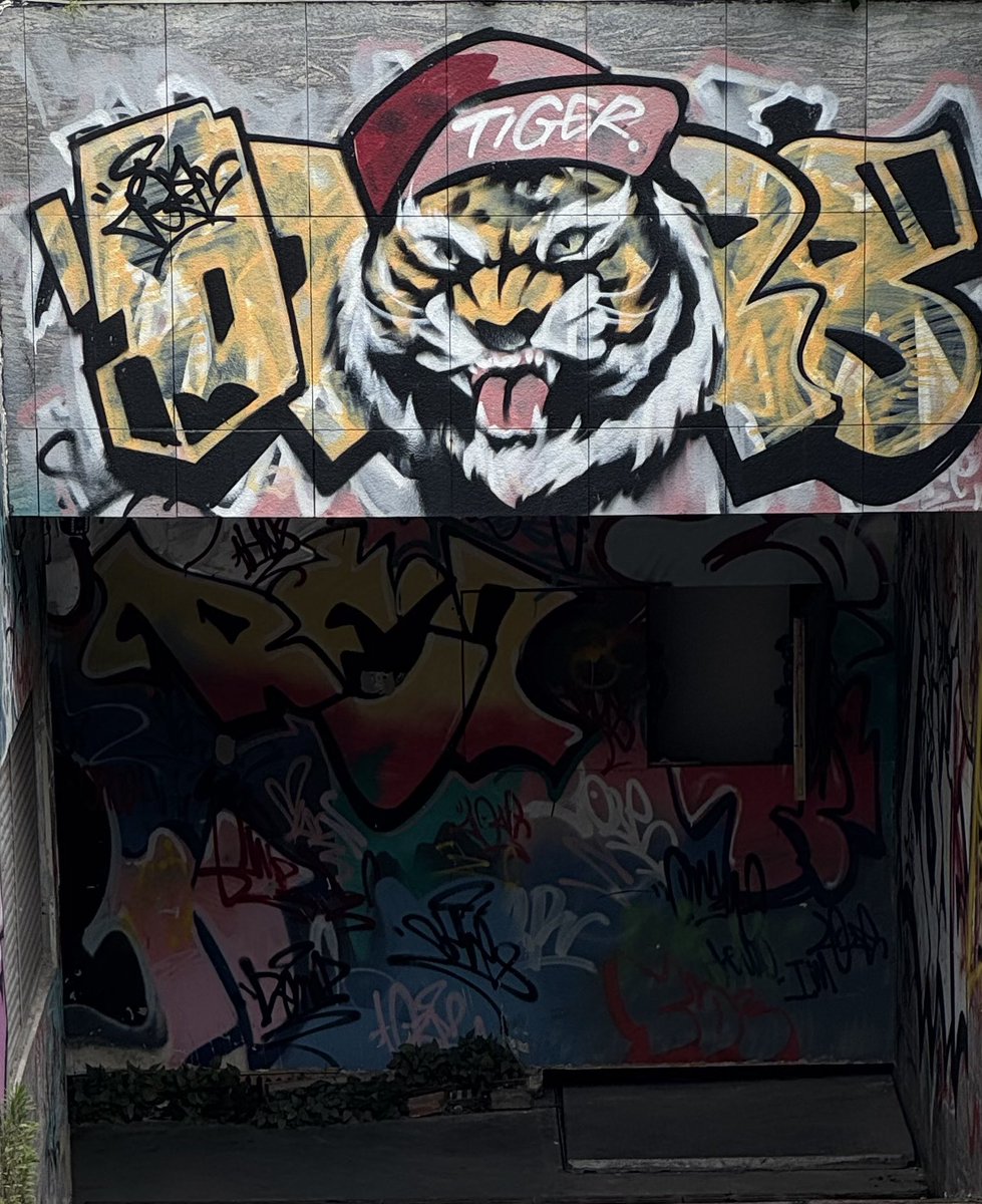 codaAntp's tweet image. 🐯