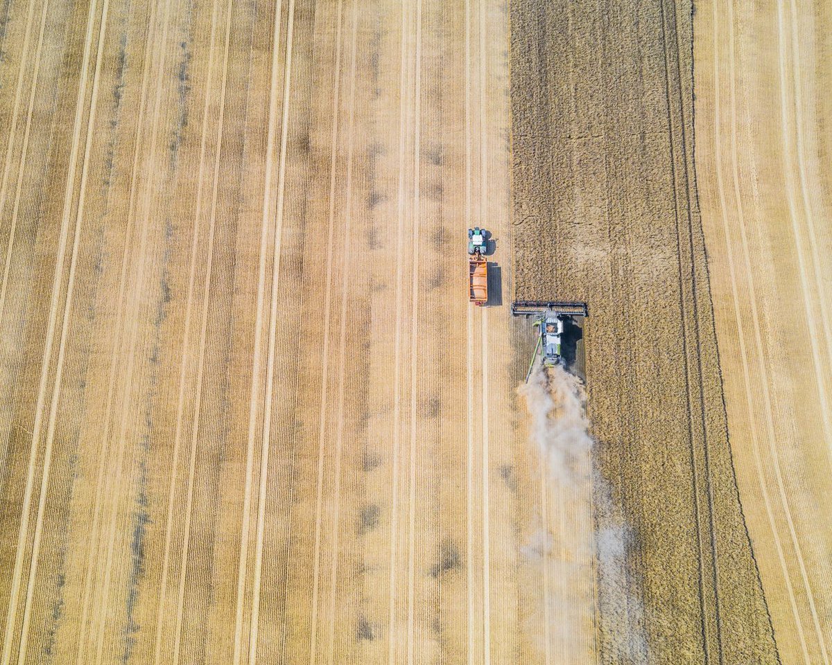 Wright's Flour tweet media