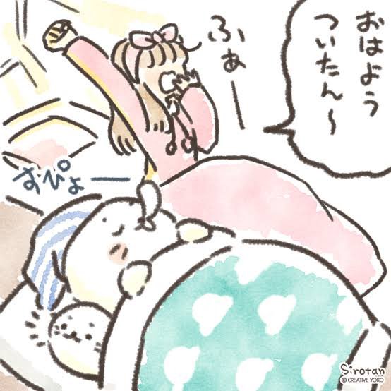 shiro1999tan's tweet image. すやすやいる子たちかわいすぎだし、そもそもしぇるの寝ているところって初…??
らむねちゃんは見つけられなかった…起きててえらいね…♡
#しろたん