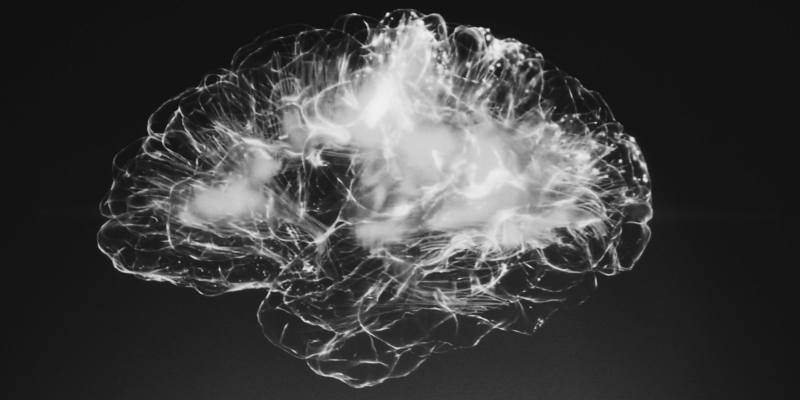 Fetal cerebrovascular response to maternal hyperoxia testing may help predict neurodevelopmental outcomes dlvr.it/TM4pBl #Neurology #Obstetrics