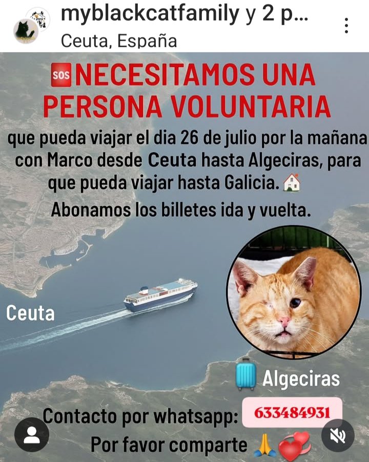 🆘🆘Se necesita una persona voluntaria para hacer el viaje el día 26 de Julio por la mañana con #Marco desde #Ceuta a #Algeciras  para después poder llegar a #Galicia en ACOGIDA 
Se paga billete de ida y vuelta