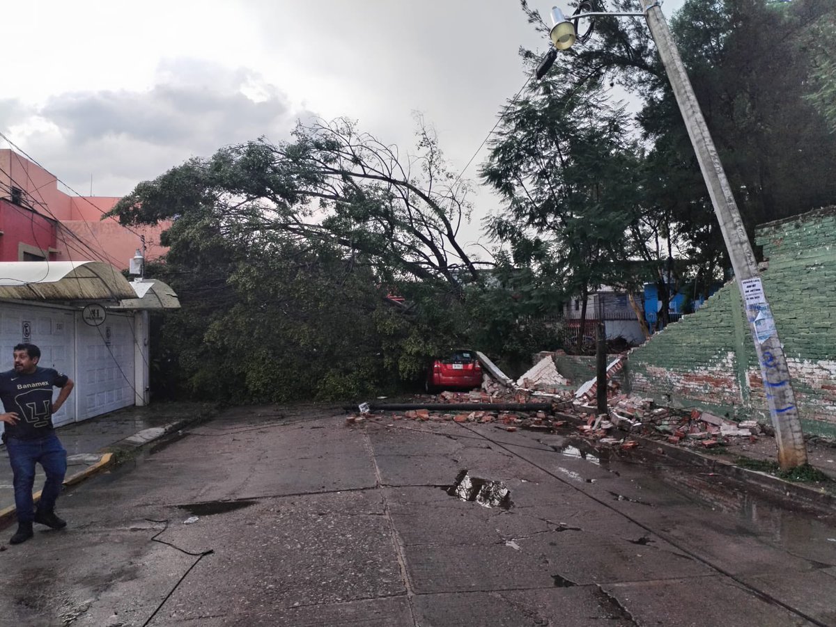 🚧 ¡Precaución!
Se informa a la ciudadanía que la 8ª Calle de Orquídeas, entre Alhelíes y Fray Toribio de Benavente, se encuentra cerrada a la circulación debido a la caída de un árbol de gran tamaño, el cual provocó daños en la barda perimetral de la Escuela Secundaria Federal