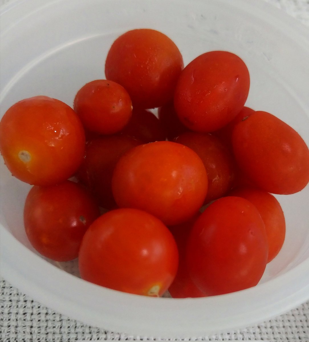 Cosecha de la casa...