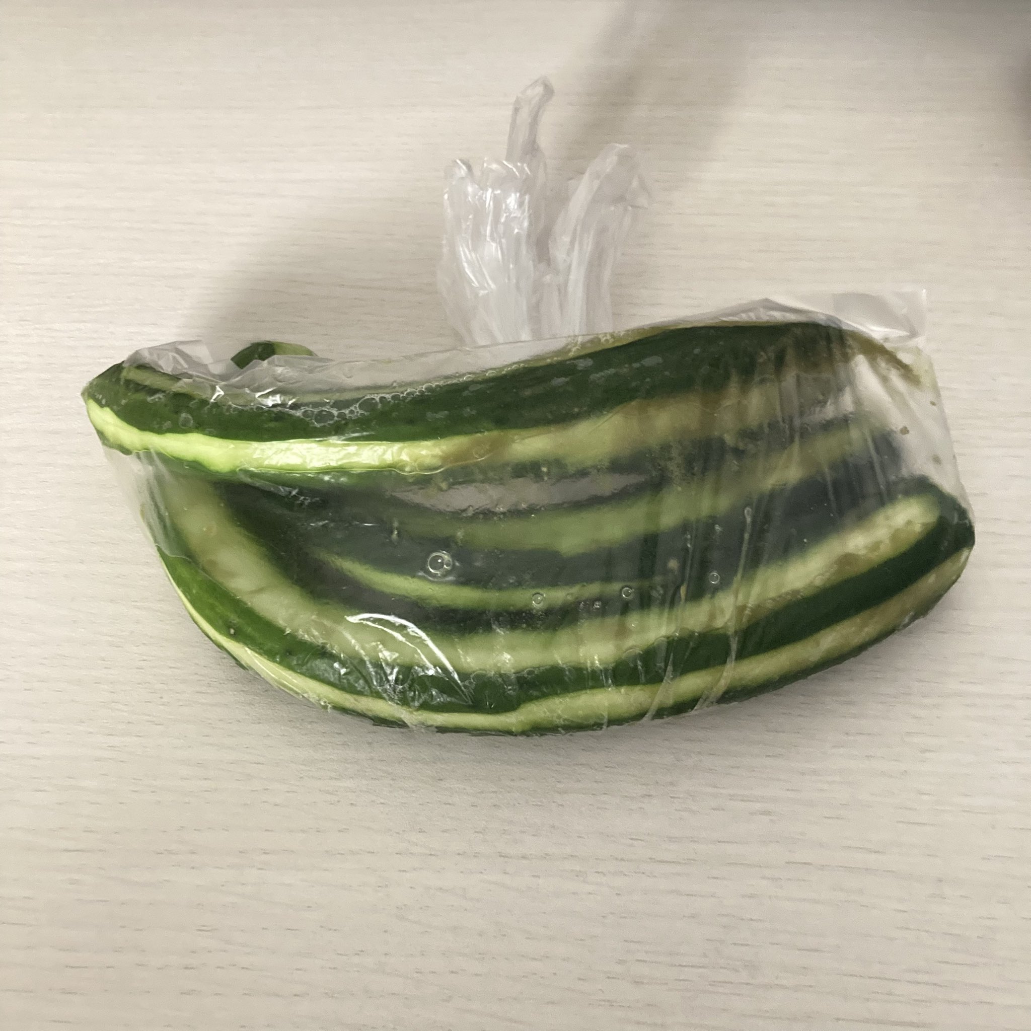 【きゅうり】 きゅうり三昧「極四葉（きわめすうよう）きゅうりの苗」9cm