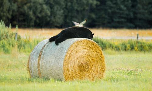 RYboating's tweet image. Goodnight friends!
It's hubby and me time now!
I'll see you all in the morning, God willing.
It's been a long day for me and I am spent.
Wishing you all sweet dreams 🤗