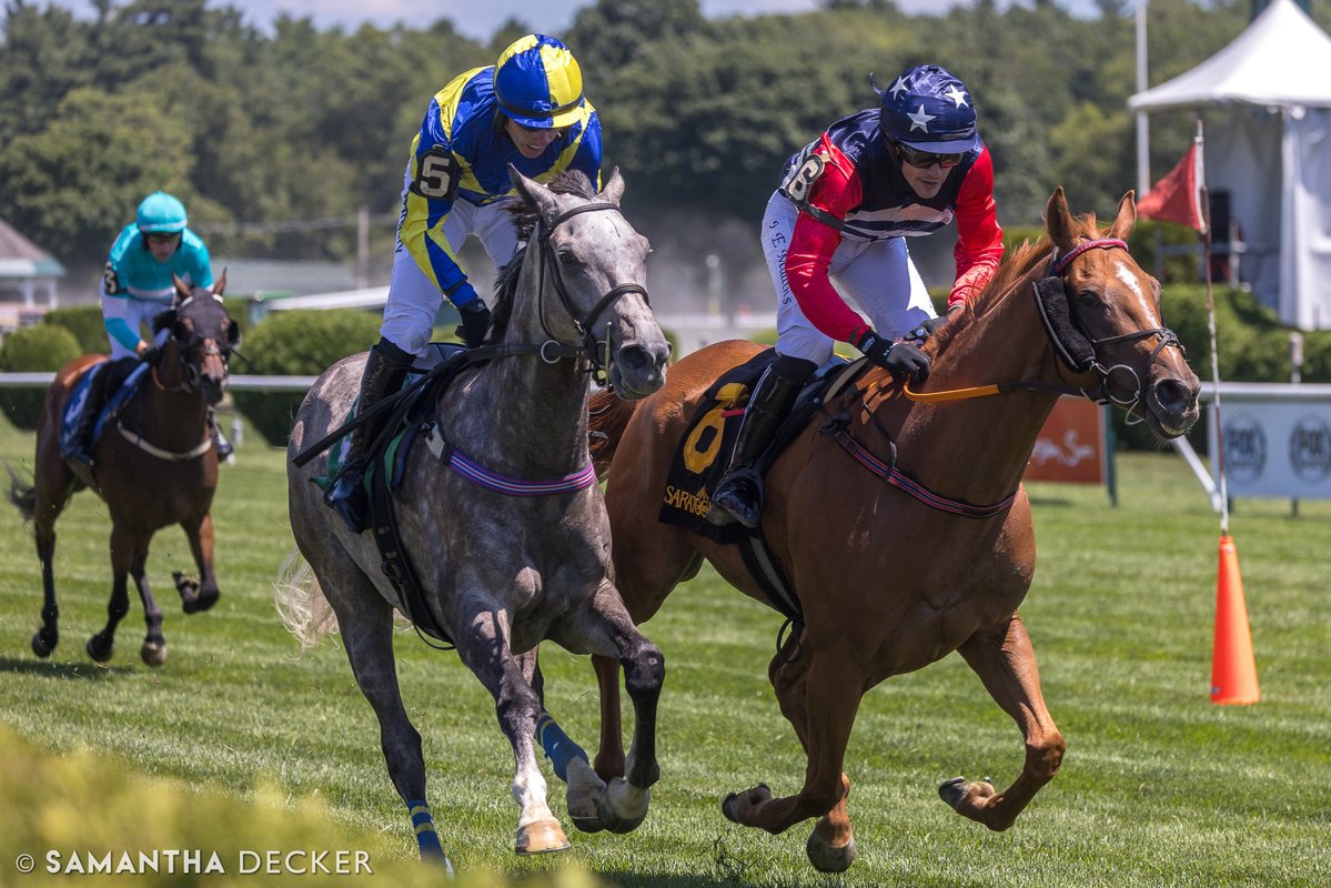 sdeckerphoto's tweet image. It was Historic Heart over Proven Innocent today in the Grade I A.P. Smithwick Memorial at Saratoga. Danny Mullins was onboard for trainer @Keri145. Congrats to all connections!
Shot for the @saratogaspecial