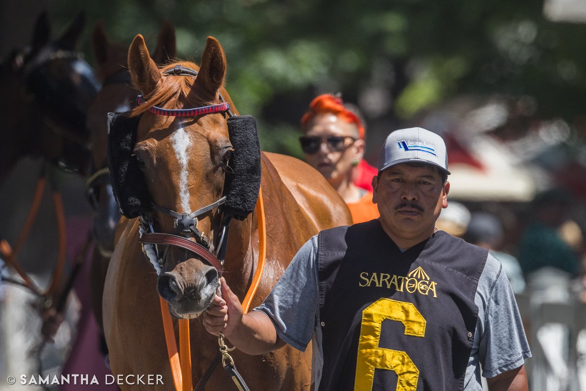 sdeckerphoto's tweet image. It was Historic Heart over Proven Innocent today in the Grade I A.P. Smithwick Memorial at Saratoga. Danny Mullins was onboard for trainer @Keri145. Congrats to all connections!
Shot for the @saratogaspecial