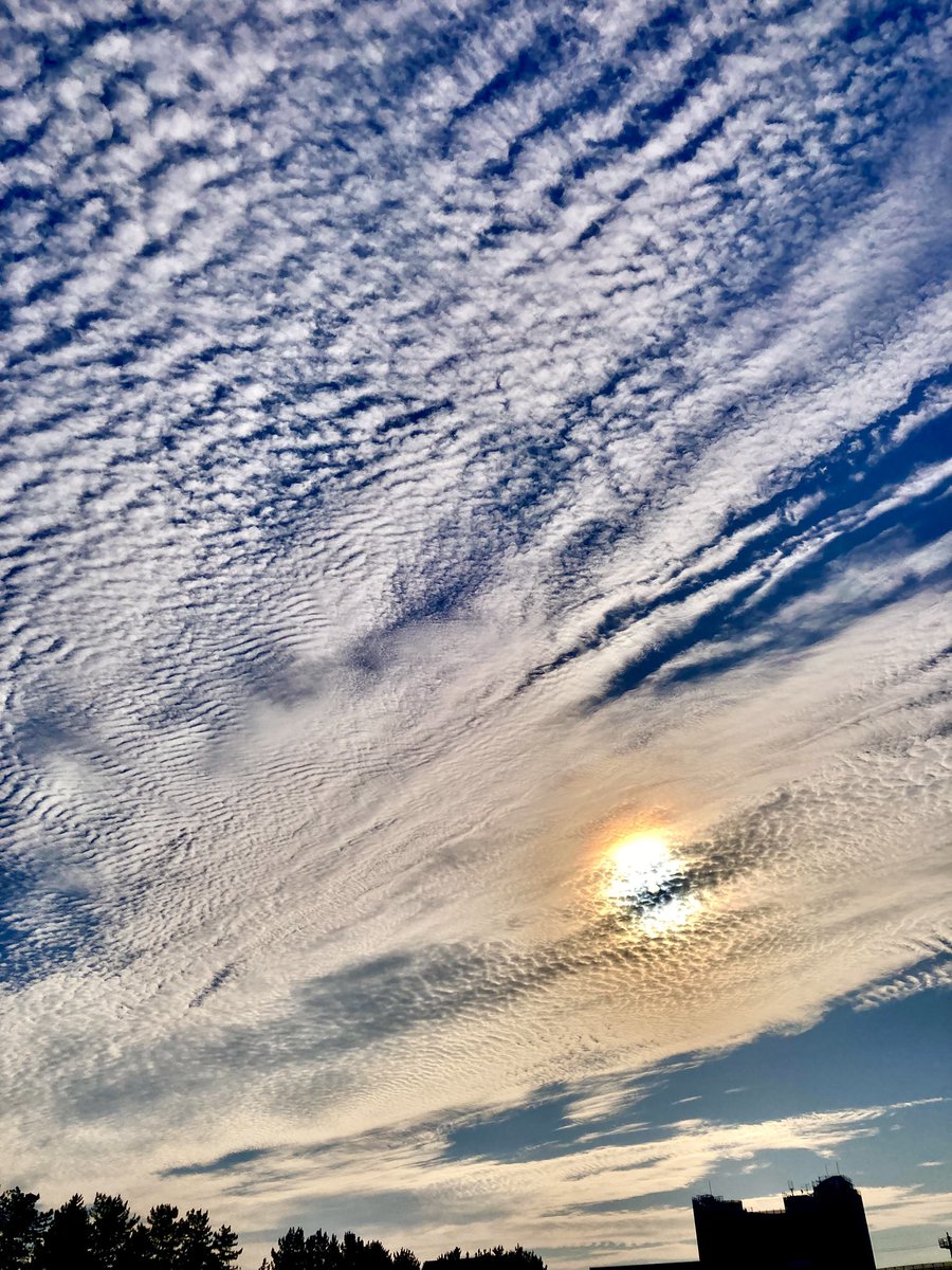 tamon_farm's tweet image. 夏の暑さにも負けず🧑‍🌾

そういうものに、私はなりたい😌