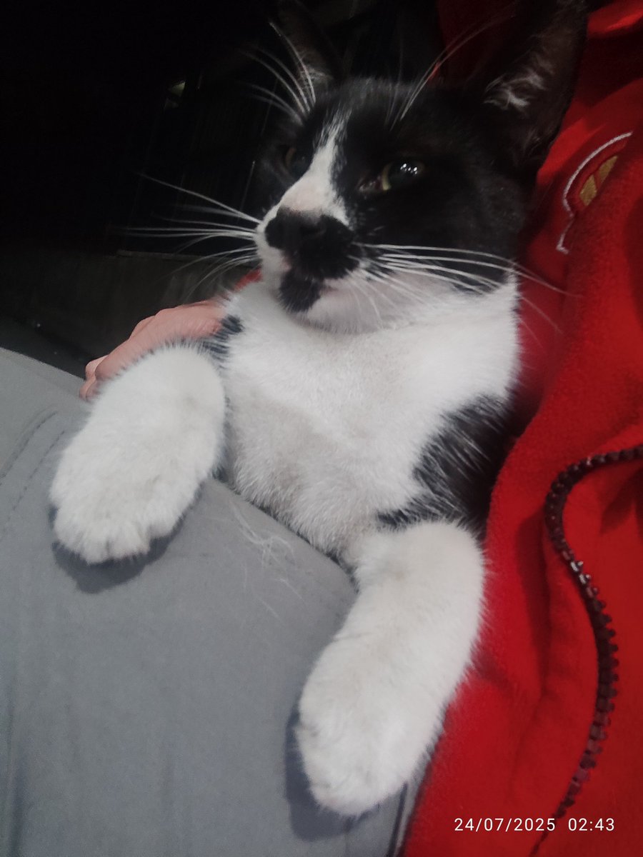 Geceye bir İzzet fotosu bırakalım