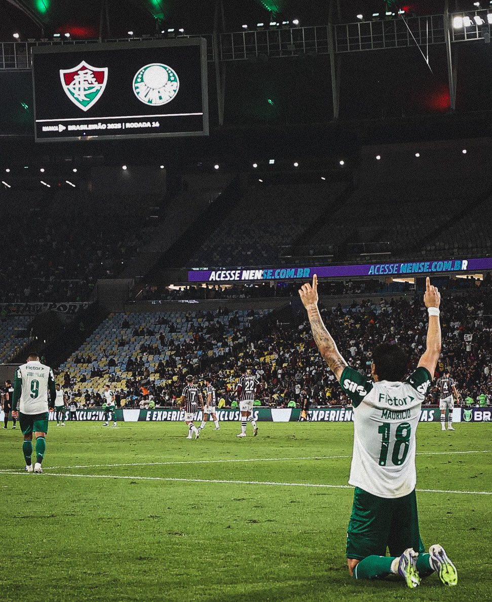 picmeiras tweet media