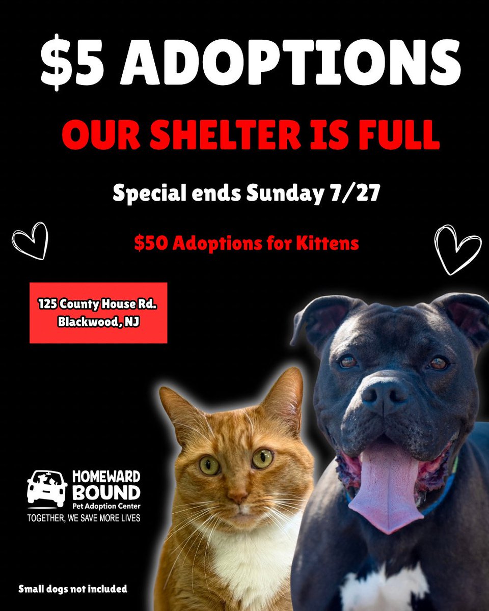 HomewardPetsNJ's tweet image. Check out our adoptable pets!
homewardboundnj.org/adopt
📍 Blackwood, NJ