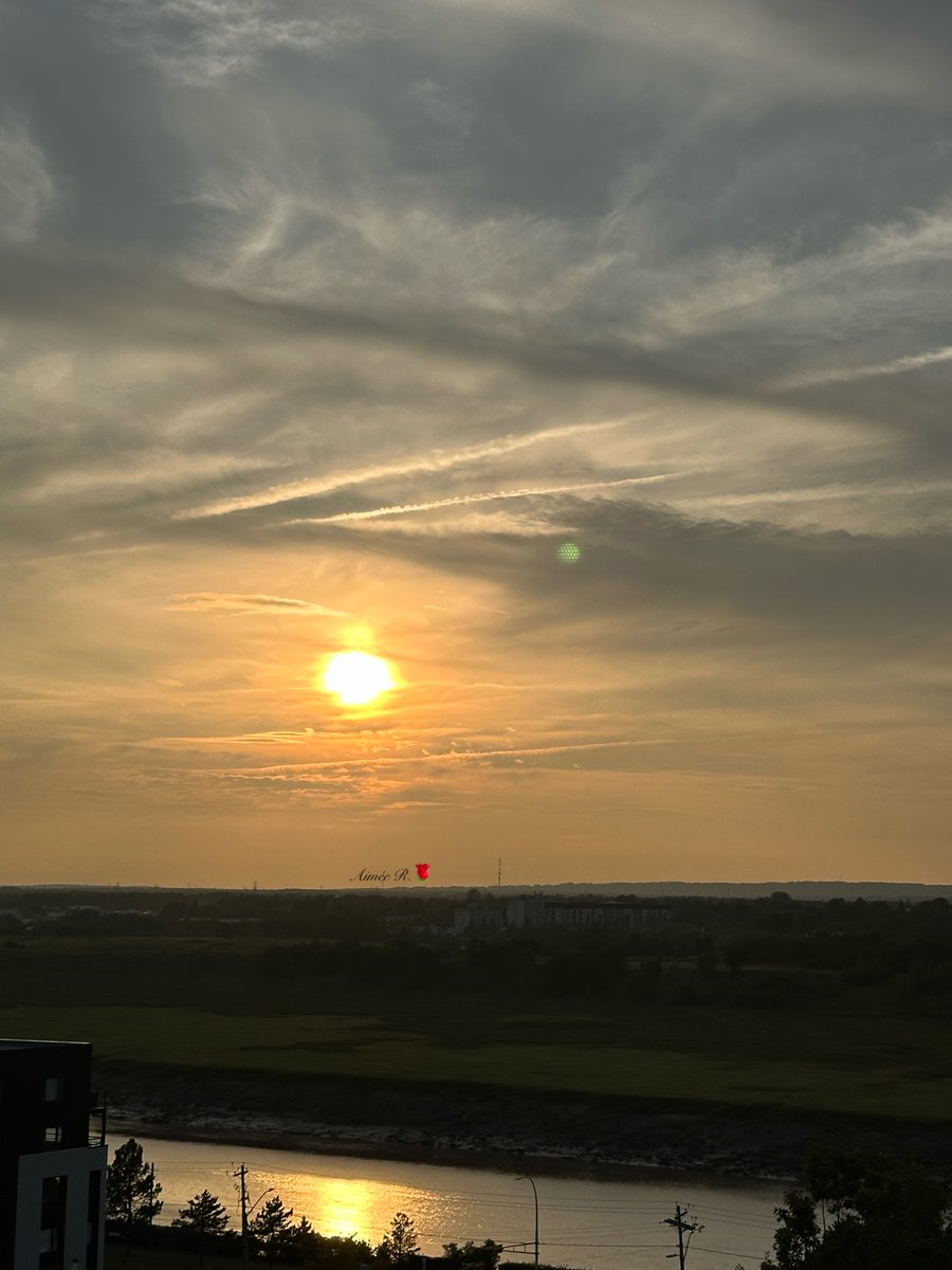 AimeeR2022's tweet image. Wishing you a good day/evening/night 🥰My 📸
Tomorrow is another day, take the beautiful things that happened today & turn it into memories & turn the rest into yesterday that will not happen again. No one walks backwards so, keep moving forward.
Kindness will change the world,…