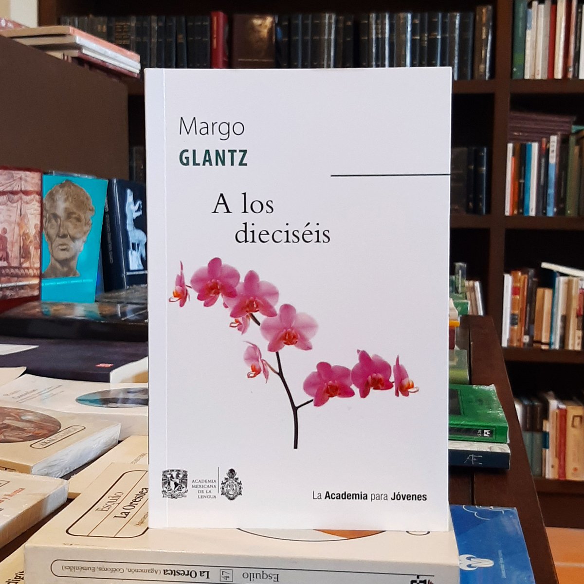 𝗔 𝗹𝗼𝘀 𝗱𝗶𝗲𝗰𝗶𝘀𝗲́𝗶𝘀
Margo Glantz | @amlengua_of
$100

Visítanos en Esteban Morales 524 entre Zaragoza y Landero y Coss, Centro Histórico del #PuertodeVeracruz
Lunes a sábado, de 10 a 22 h
WhatsApp librería 2291617437
#LibreríaMarAdentro #Veracruz #Libros #Cafe