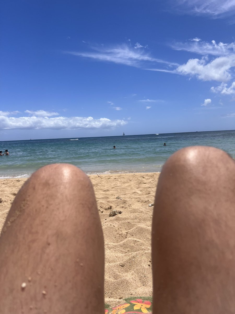 MoDakhil_NBA's tweet image. My out of office.