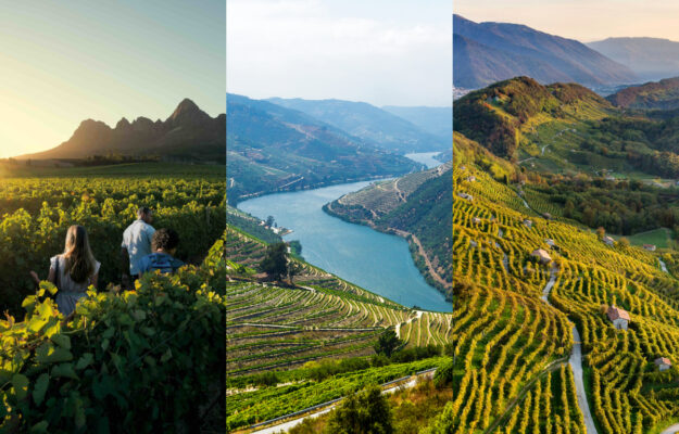 #Sudáfrica, #Portugal e #Italia, principales destinos de #enoturismo, según #winetourism winenews.it/it/sudafrica-p… En Galicia: mdpi.com/2071-1050/17/1…