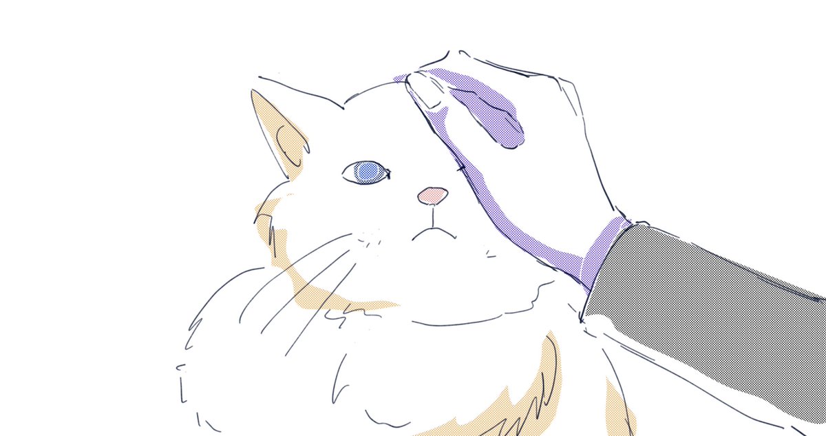 Lurann4's tweet image. #punishinggrayraven 
え?
🐱