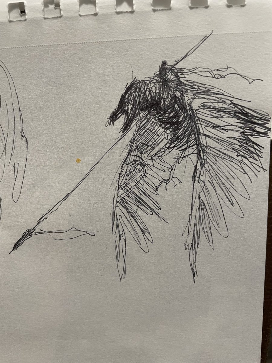 long spearmen on a flying mount