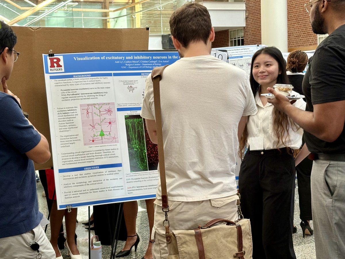 UNC_PHCO's tweet image. 🧠 Shoutout to Carolina Summer Fellow Anh Ly, who took a deep dive into how neurons in the cerebral cortex work together, thanks to Dr. Eva Anton’s lab for the incredible opportunity! #CarolinaSummer