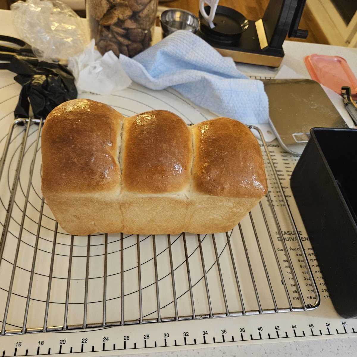 toticommando's tweet image. 식빵 구워봣어요 헤헤헤