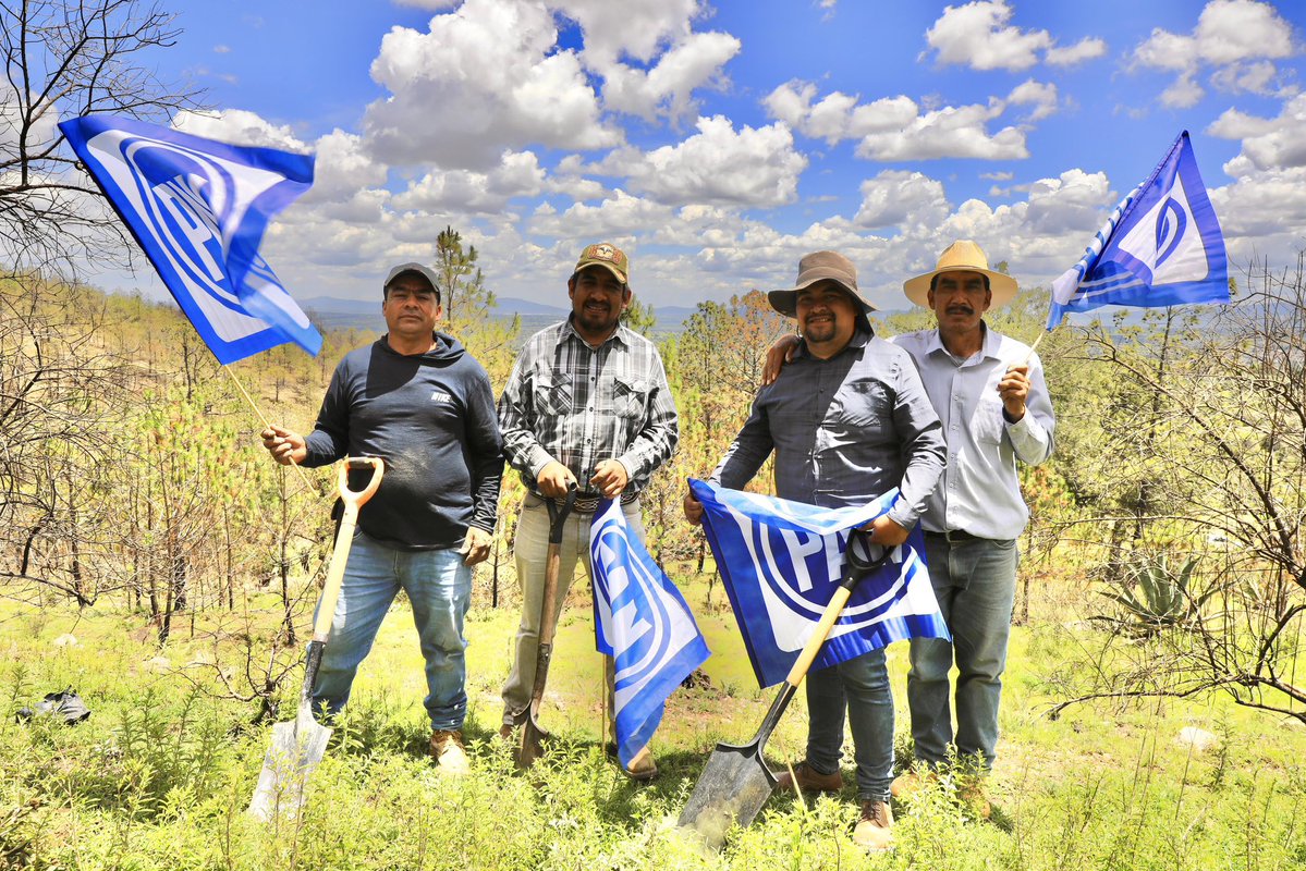 JorgeRoHe's tweet image. Hoy reforestamos junto a la comunidad de Axopilco y nuestro Alcalde Luis Alberto Huerta. 👏🏻
Cuidar el medio ambiente es cuidar el futuro de nuestras hijas e hijos. 🌱
Desde Atltzayanca reafirmamos que @AccionNacional es un aliado de la vida, la tierra y las nuevas…