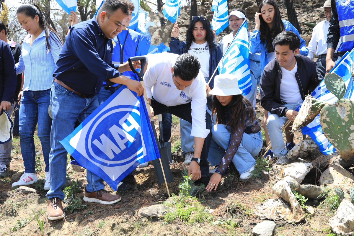 JorgeRoHe's tweet image. Hoy reforestamos junto a la comunidad de Axopilco y nuestro Alcalde Luis Alberto Huerta. 👏🏻
Cuidar el medio ambiente es cuidar el futuro de nuestras hijas e hijos. 🌱
Desde Atltzayanca reafirmamos que @AccionNacional es un aliado de la vida, la tierra y las nuevas…