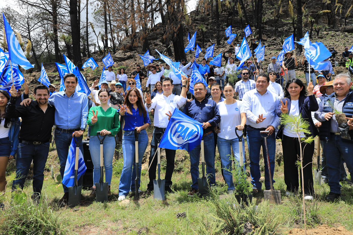 JorgeRoHe's tweet image. Hoy reforestamos junto a la comunidad de Axopilco y nuestro Alcalde Luis Alberto Huerta. 👏🏻
Cuidar el medio ambiente es cuidar el futuro de nuestras hijas e hijos. 🌱
Desde Atltzayanca reafirmamos que @AccionNacional es un aliado de la vida, la tierra y las nuevas…