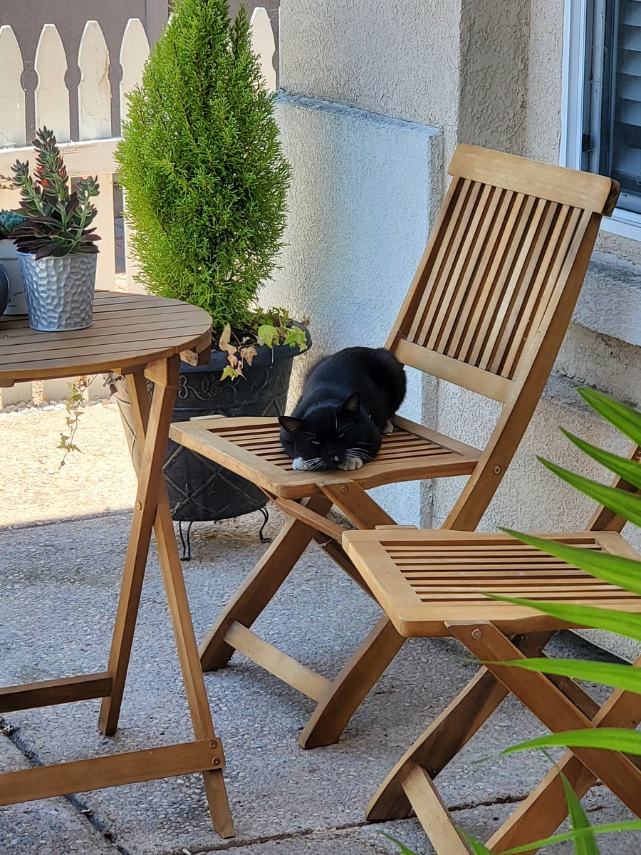 Found a stray? car loafing around my house