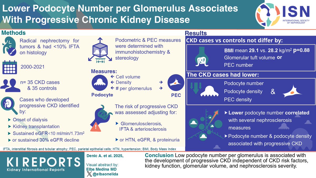 KIReports (@kireports) on Twitter photo Lower #Podocyte Number per #Glomerulus Associates With #Progressive CKD
#VisualAbstract by <a href="/elbaonelida/">Elba Medina</a>
kireports.org/article/S2468-… Lower #Podocyte Number per #Glomerulus Associates With #Progressive CKD
#VisualAbstract by <a href="/elbaonelida/">Elba Medina</a>
kireports.org/article/S2468-…