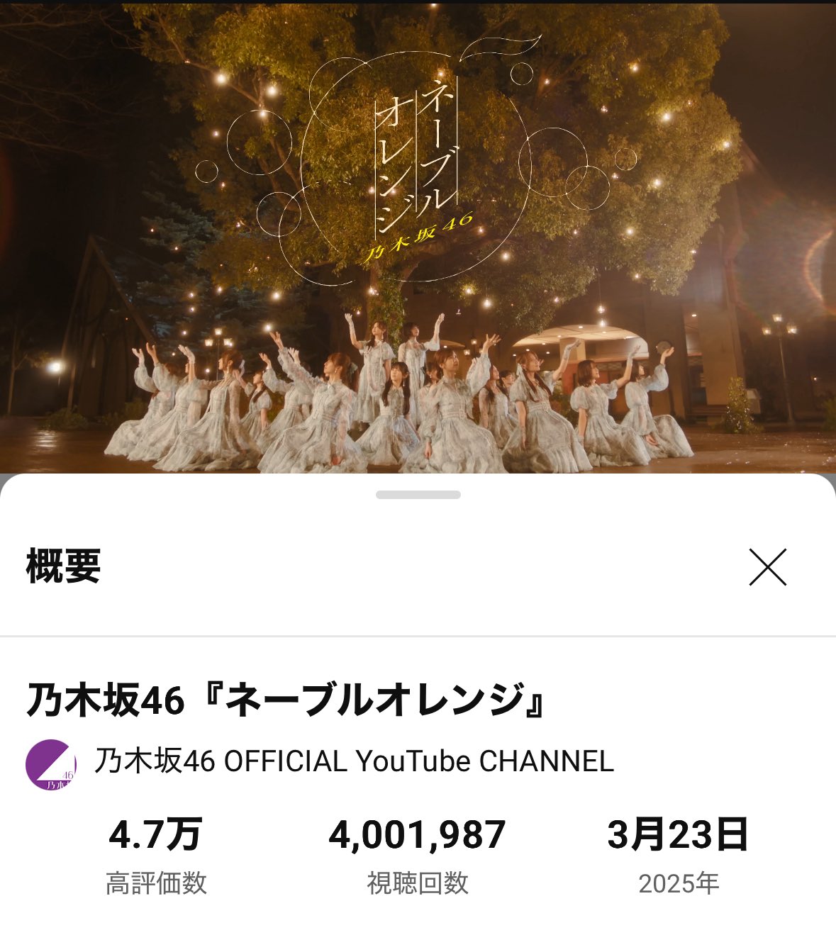 ねこまる on X: 