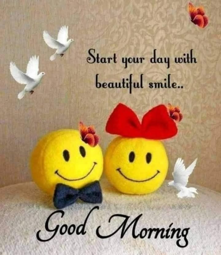 1H77k's tweet image. The beauty of the morning is not in the freshness of the atmosphere. It is in the freshness of our thoughts & feelings & how we wish to start our day...!!
Good Morning 𝕏 Fam🌹