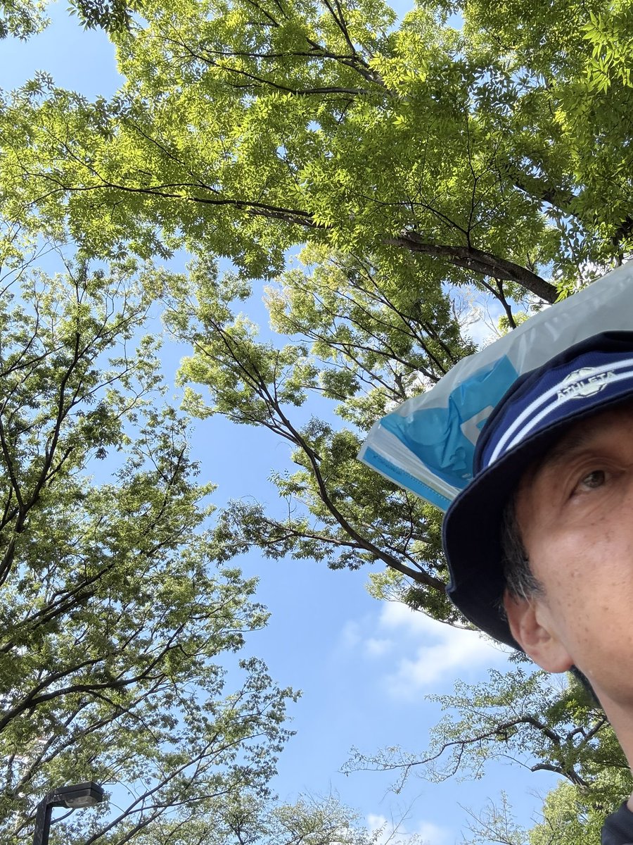 footbrainMC's tweet image. おはようございます☀😥
昨日はすっかり酔ってしまいました😆
今朝は一万匹くらいの蝉が爆音で鳴いてます
さて、究極の選択です
一万匹の蝉が爆音で鳴く
のと
セントバーナードくらいの一匹の蝉が爆音で鳴く
のと
どちらが良いでしょう?
って、どうでもいいか🤣
熱中症に気をつけて🥵楽しく