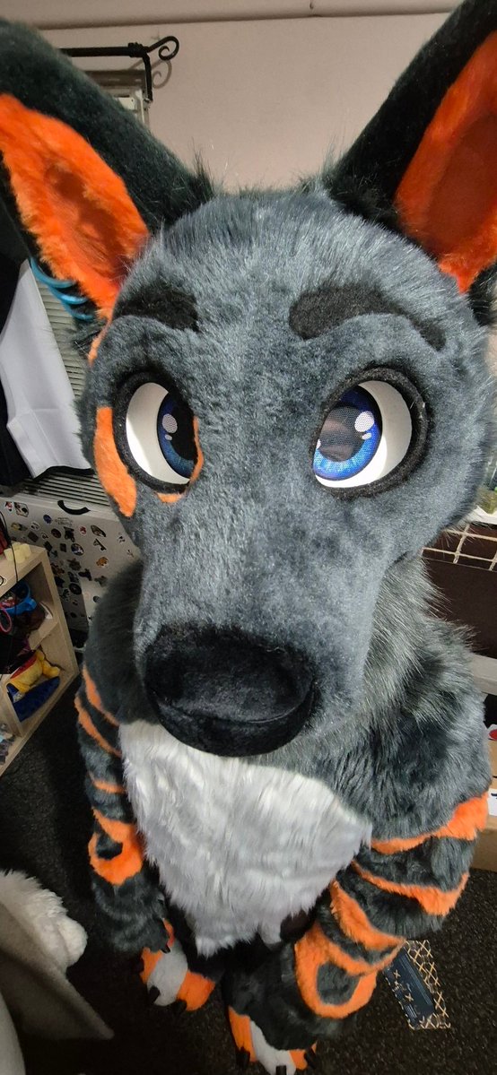 CruiseTheDingo's tweet image. Aurawra is tomorrow ๐คฏ
Come say hi or whatever :3