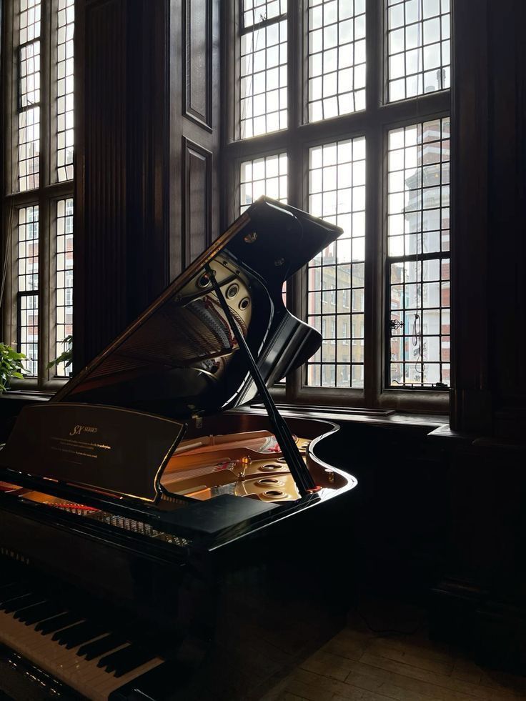 Vandy_Crisps's tweet image. Normalize having a grand piano in the house.