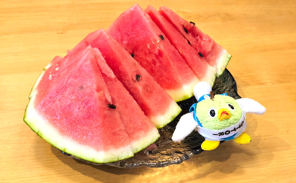 tottoripref's tweet image. 夏に、かぶりつけ!(⁎˃ᴗ˂⁎)💕
夏休み、セミの声、冷えたスイカ。あぁ、なんてステキな3点セット。
…あれ?でも最近、セミの声って聞かないような?猛暑も関係してるのかなぁ。
危険な暑さに注意が必要な今日。スイカなどで水分補給しつつ、熱中症対策をしっかりしてすごしてね!