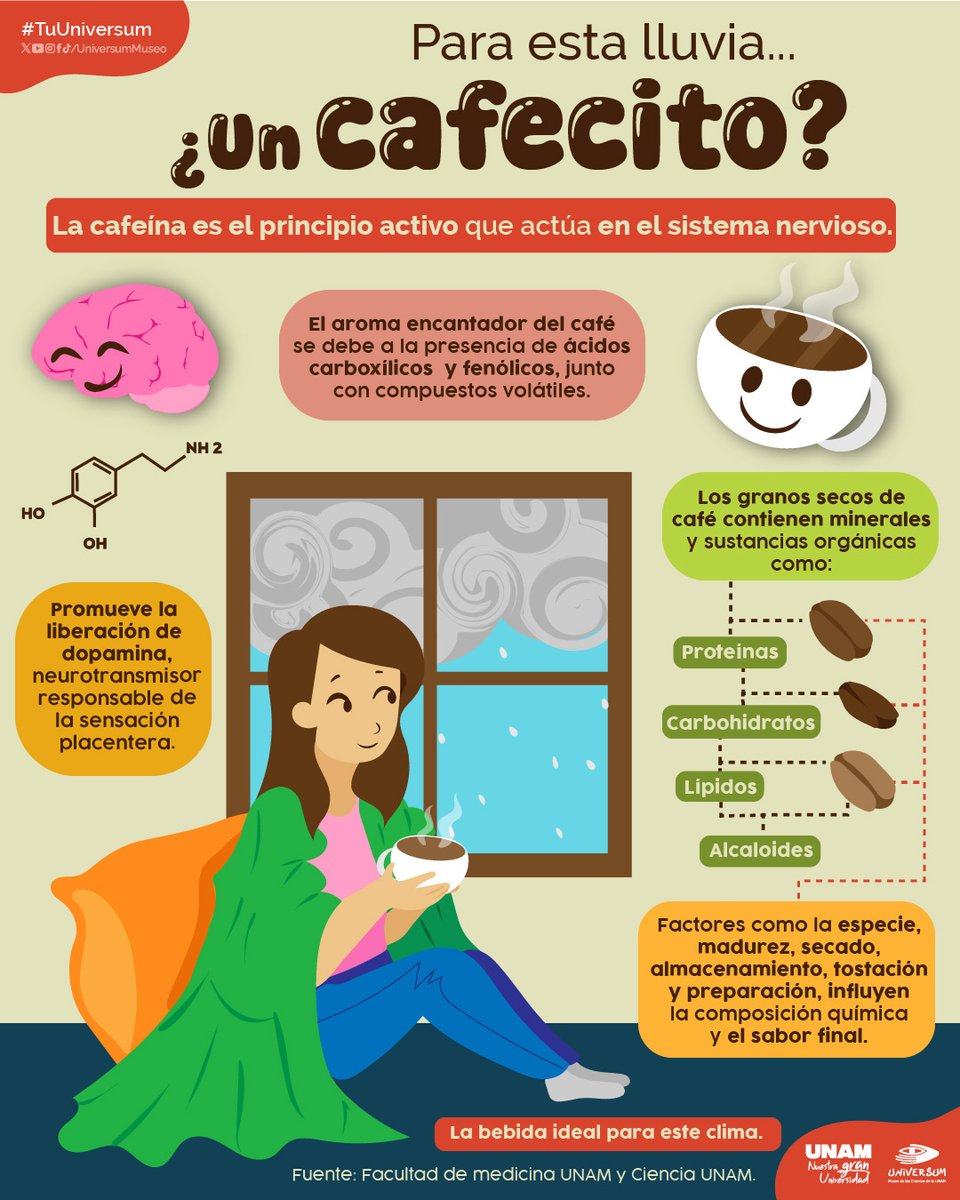 UNAM Global (@unamglobal) on Twitter photo ☕🌧️ Una taza de café puede ser el acompañante ideal para los días lluviosos. Conoce más detalles en esta infografía de <a href="/UniversumMuseo/">Universum Museo</a>. ⬇️ ☕🌧️ Una taza de café puede ser el acompañante ideal para los días lluviosos. Conoce más detalles en esta infografía de <a href="/UniversumMuseo/">Universum Museo</a>. ⬇️