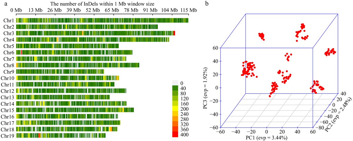 MaximumAcademic's tweet image. #ForestryRes
🌳 GWAS identifies key genes for growth and stem form in hybrid Liriodendron, with 161 candidate genes linked to rapid growth and superior wood quality.
@ForestryRes @Forest_Research @JournalNJFU #woody #genes
Details: maxapress.com/article/doi/10…