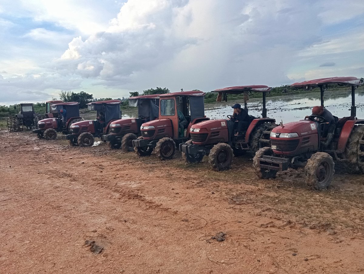 Continúa la siembra de la campaña de primavera 2025 en la UBPC Las Nuevas vinculada a la EAIG #SurDelJíbaro.
#SanctiSpíritusEnMarcha 
#LaSierpe
<a href="/DeivyPrezMartn1/">Deivy Pérez Martín</a> 
<a href="/AlexisLorente74/">Alexis Lorente Jiménez</a> 
<a href="/Carlos_GRguez/">Carlos Gutiérrez Rodríguez</a> 
<a href="/Yilian84143134/">Yilian</a>