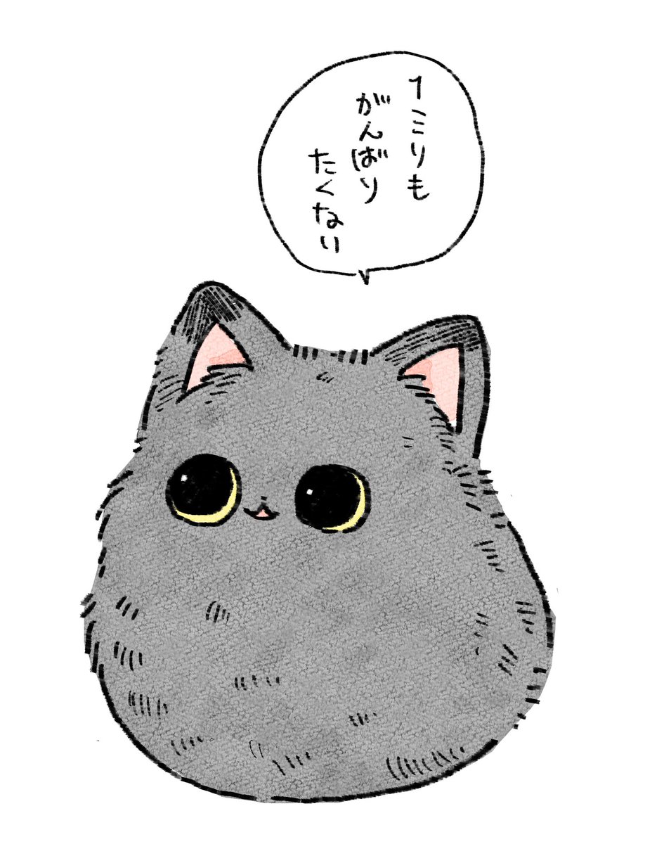井々エビ出汁 (@ii_ebidashi) on Twitter photo 