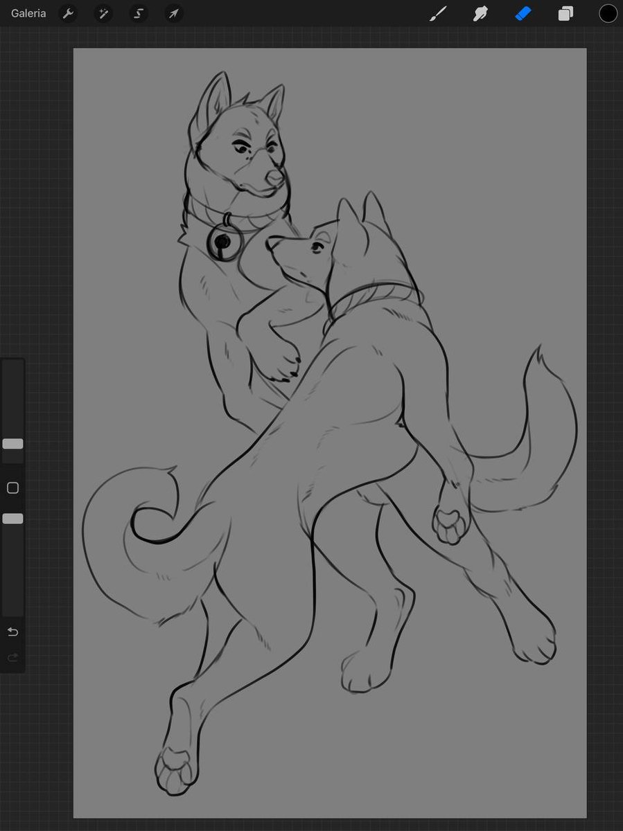 Fanayaart's tweet image. Yin and Yang but akita inu! 
Sketch for sticker!