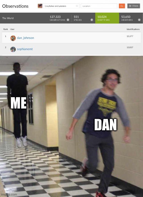 HonkIfUrHoary's tweet image. 2,000 IDs to go, Dan.