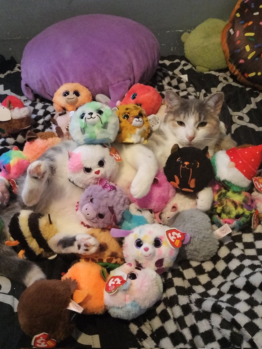 ArtistRobotic's tweet image. I was cleaning my shelf and my cat let me do this. She looks very comfy, guess she's a fan of my plushies.
@TyInc