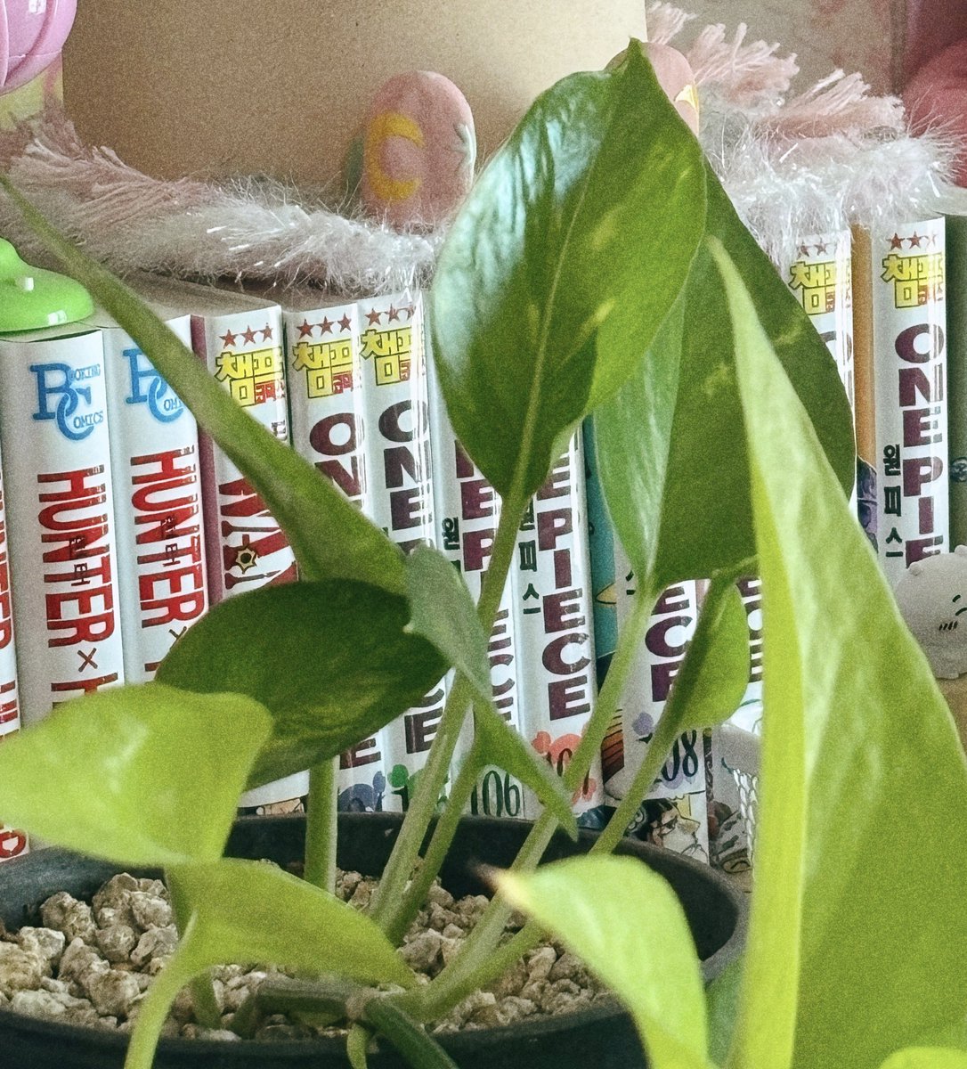 여름이란 거 좋은 거구나