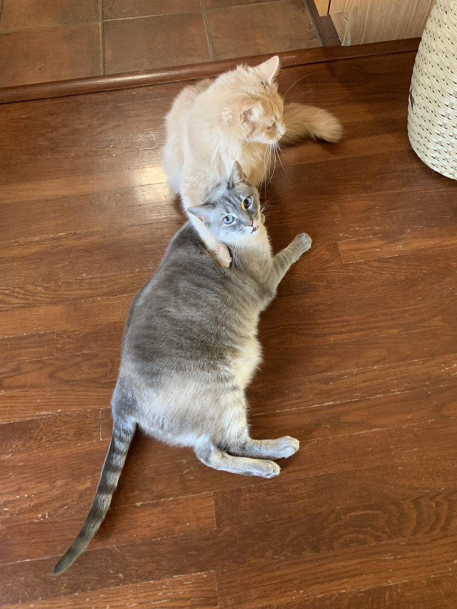 #brotherlylove