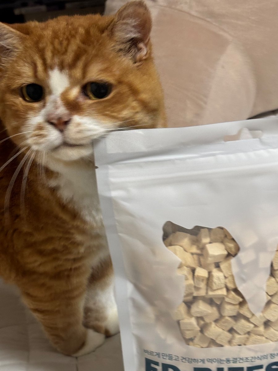 천하를 다가진 행복한표정