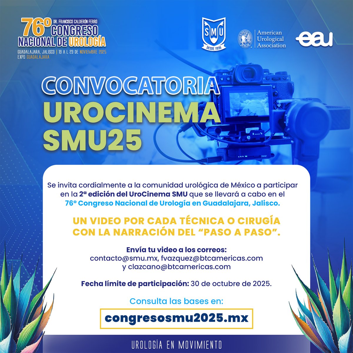 SMU México tweet media