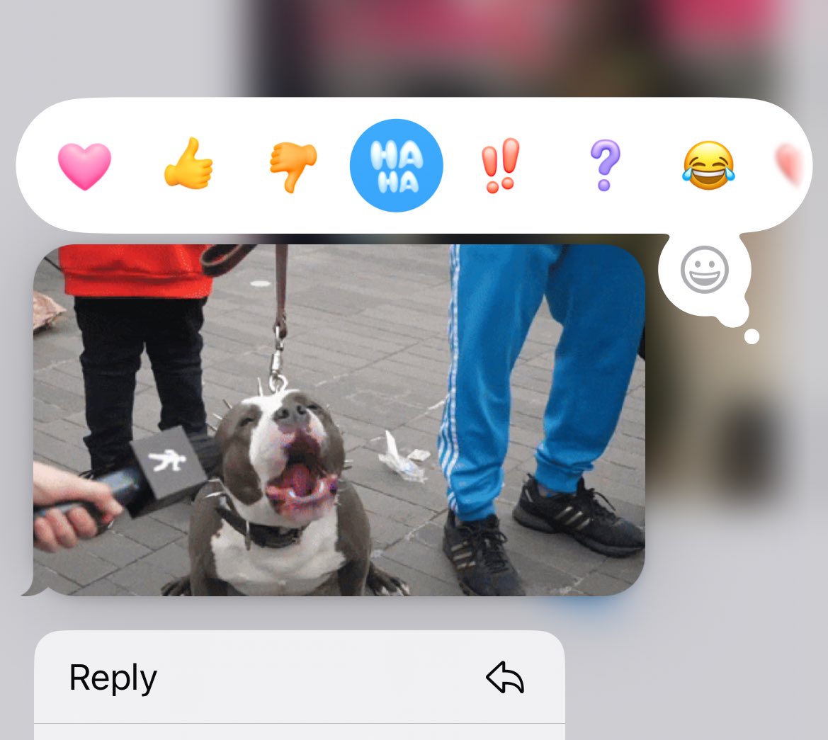 __chiann's tweet image. Bark like you want it ❤️🤣  #HairapptFlicks
