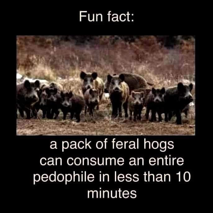 Rothmus 🏴 (@rothmus) on Twitter photo 