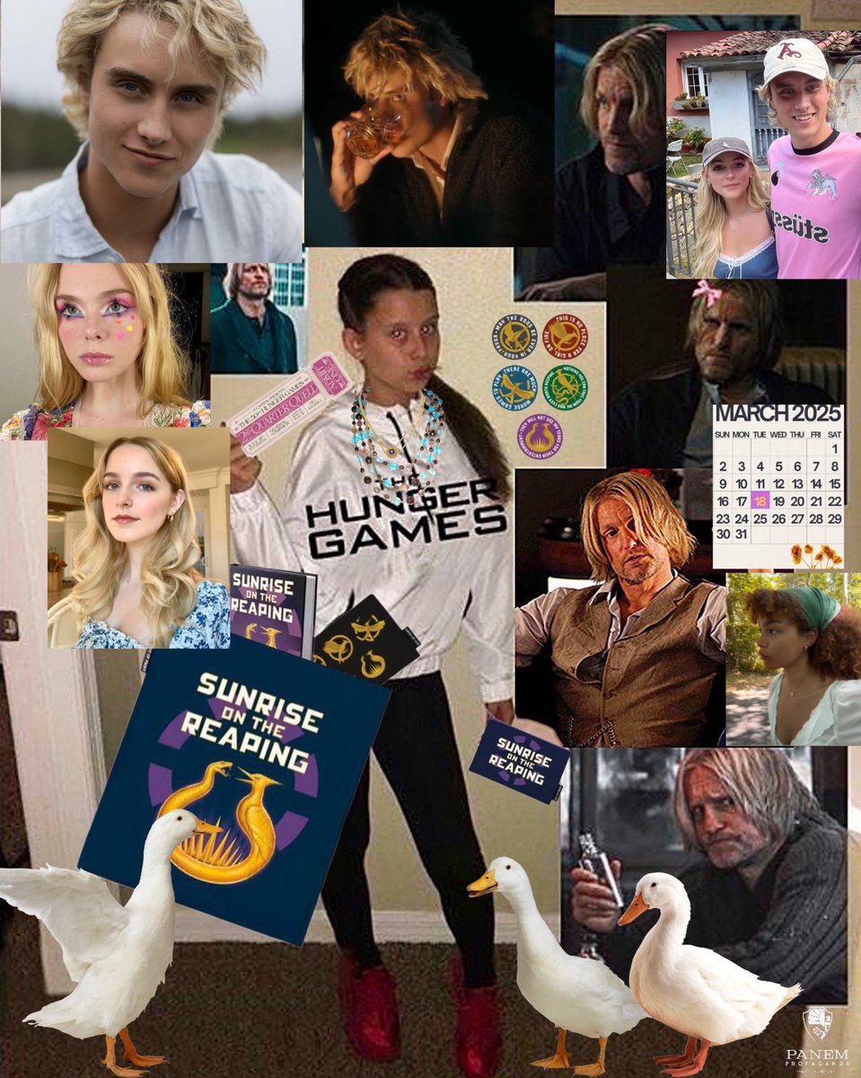 novembro de 2023 / novembro de 2026