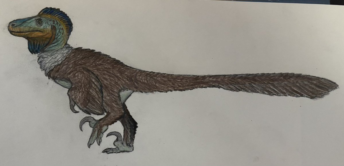 TalesofKaimere's tweet image. Last call for Kairul fauna! Got funds for a dromaeosaur you now get to see in the entelodont episode.