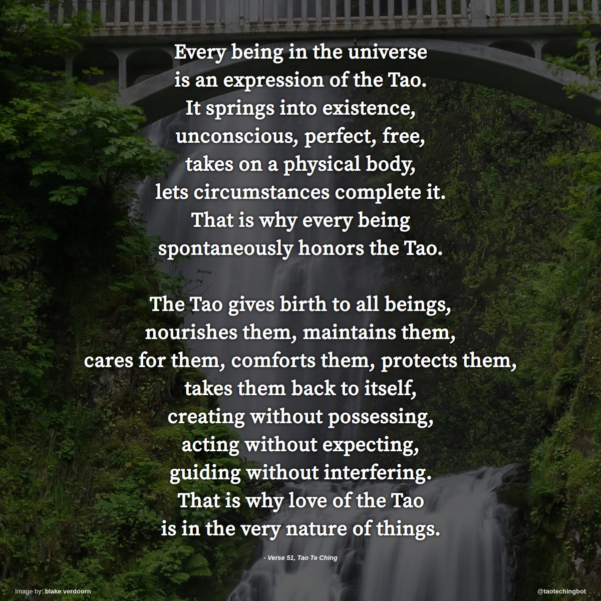 taotechingbot's tweet image. Verse 51 of The Tao Te Ching. #TaoTeChing #Laozi #Tao #LaoTzu #Taoism #BookOfTheWay
